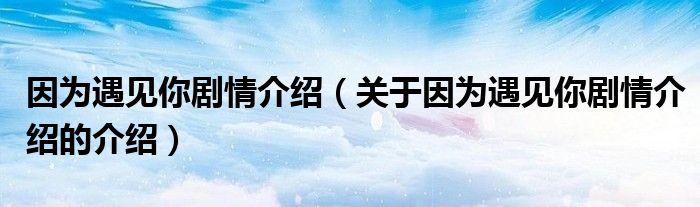 因为遇见你剧情介绍（关于因为遇见你剧情介绍的介绍）