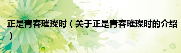 正是青春璀璨时（关于正是青春璀璨时的介绍）