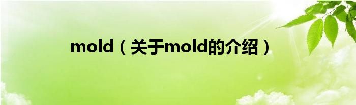 mold（关于mold的介绍）