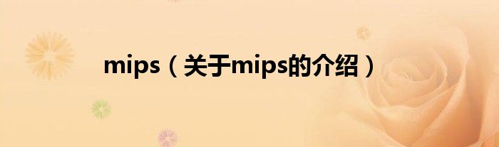 mips（关于mips的介绍）