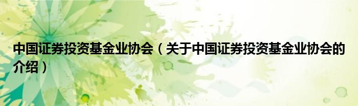 中国证券投资基金业协会（关于中国证券投资基金业协会的介绍）