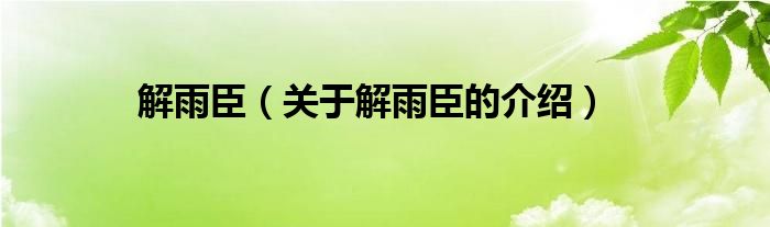 解雨臣（关于解雨臣的介绍）