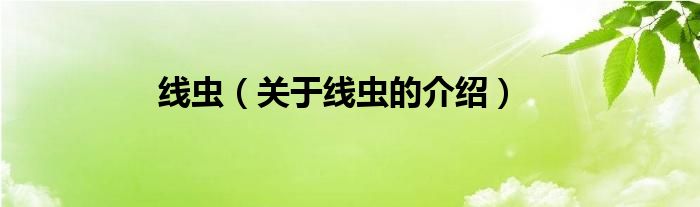 线虫（关于线虫的介绍）