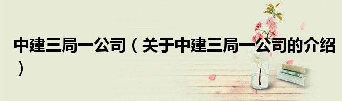中建三局一公司（关于中建三局一公司的介绍）