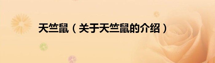 天竺鼠（关于天竺鼠的介绍）