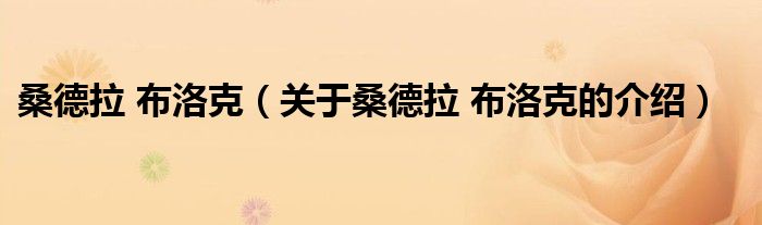桑德拉 布洛克（关于桑德拉 布洛克的介绍）