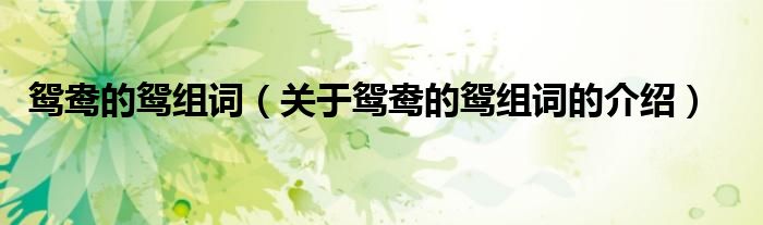 鸳鸯的鸳组词（关于鸳鸯的鸳组词的介绍）