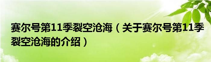 赛尔号第11季裂空沧海（关于赛尔号第11季裂空沧海的介绍）