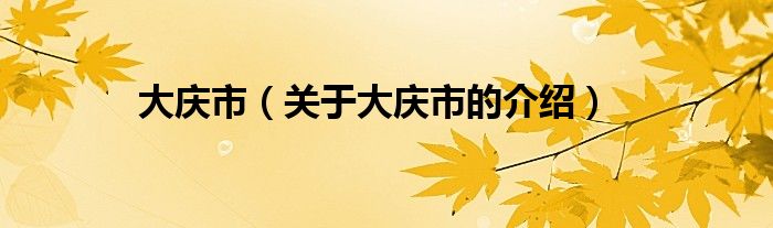 大庆市（关于大庆市的介绍）