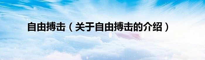 自由搏击（关于自由搏击的介绍）