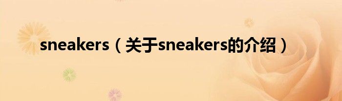 sneakers（关于sneakers的介绍）