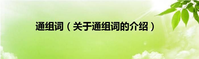 通组词（关于通组词的介绍）