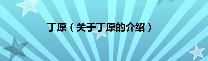 丁原（关于丁原的介绍）
