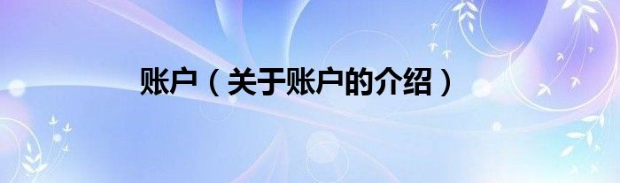 账户（关于账户的介绍）