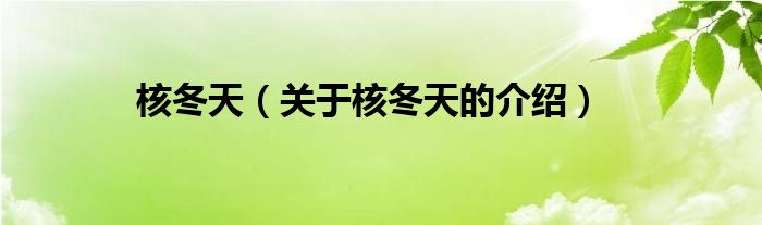 核冬天（关于核冬天的介绍）