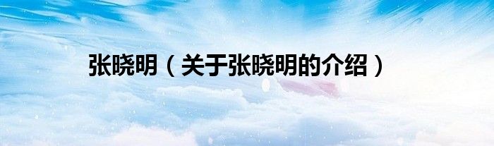 张晓明（关于张晓明的介绍）