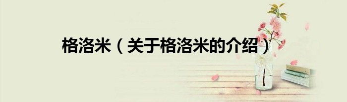 格洛米（关于格洛米的介绍）