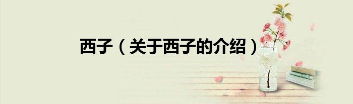 西子（关于西子的介绍）