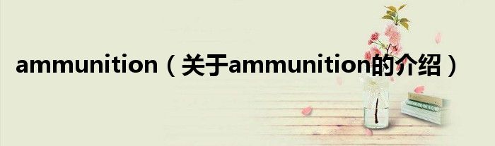 ammunition（关于ammunition的介绍）