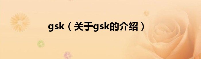 gsk（关于gsk的介绍）