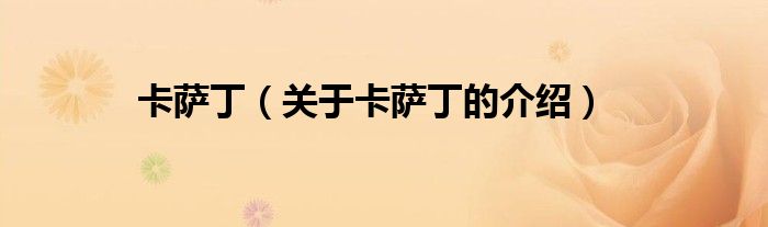卡萨丁（关于卡萨丁的介绍）