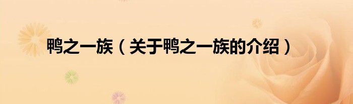 鸭之一族（关于鸭之一族的介绍）