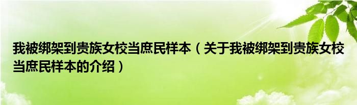 我被绑架到贵族女校当庶民样本（关于我被绑架到贵族女校当庶民样本的介绍）