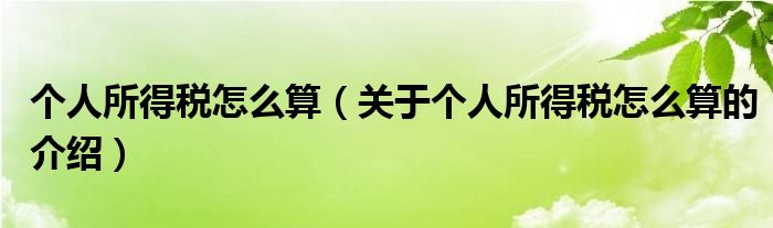 个人所得税怎么算（关于个人所得税怎么算的介绍）