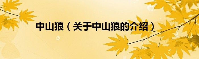 中山狼（关于中山狼的介绍）