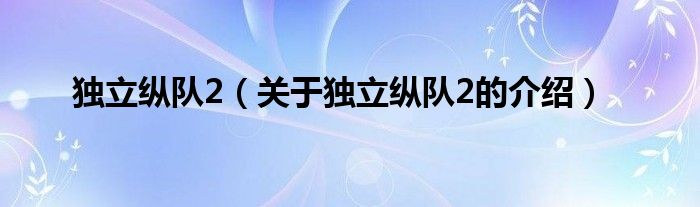 独立纵队2（关于独立纵队2的介绍）