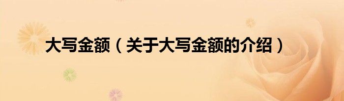 大写金额（关于大写金额的介绍）