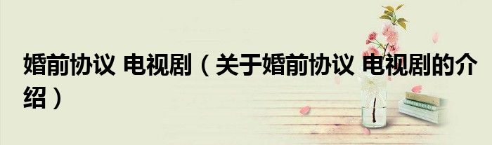 婚前协议 电视剧（关于婚前协议 电视剧的介绍）