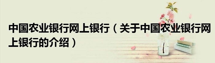 中国农业银行网上银行（关于中国农业银行网上银行的介绍）