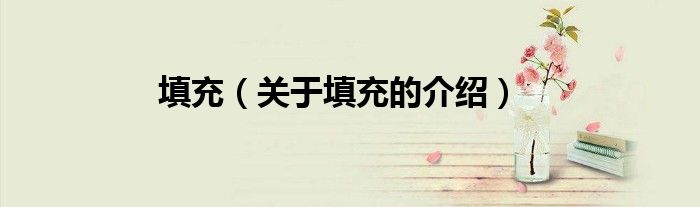 填充（关于填充的介绍）