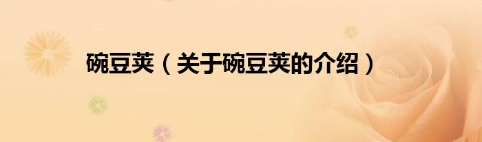 碗豆荚（关于碗豆荚的介绍）