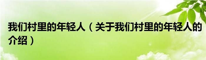 我们村里的年轻人（关于我们村里的年轻人的介绍）