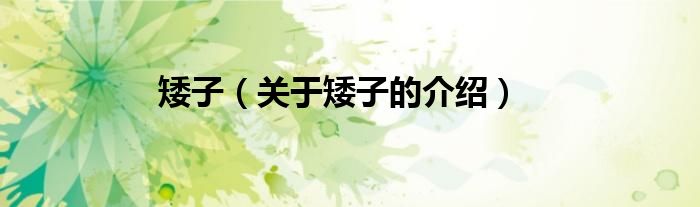 矮子（关于矮子的介绍）