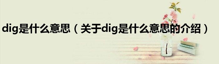 dig是什么意思（关于dig是什么意思的介绍）