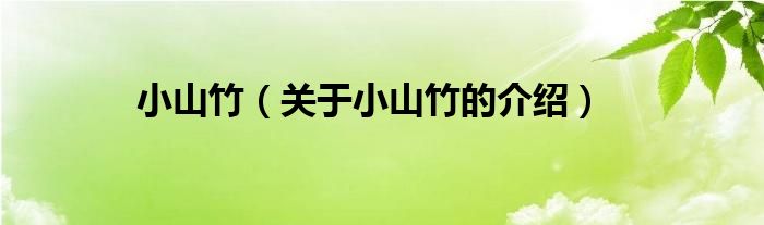 小山竹（关于小山竹的介绍）