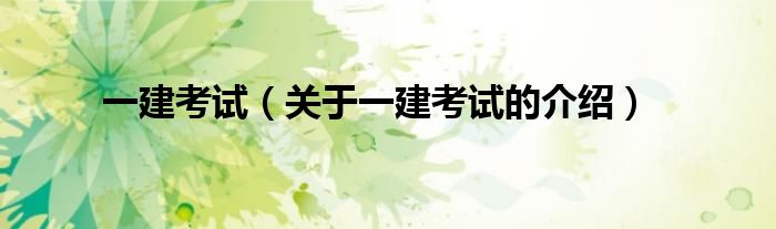 一建考试（关于一建考试的介绍）