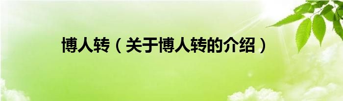 博人转（关于博人转的介绍）