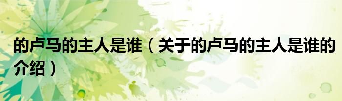 的卢马的主人是谁（关于的卢马的主人是谁的介绍）