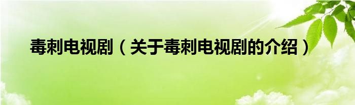毒刺电视剧（关于毒刺电视剧的介绍）
