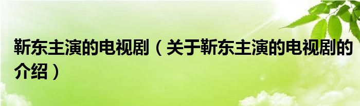 靳东主演的电视剧（关于靳东主演的电视剧的介绍）