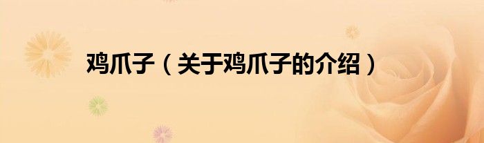 鸡爪子（关于鸡爪子的介绍）