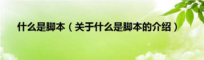 什么是脚本（关于什么是脚本的介绍）