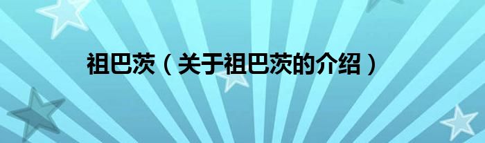 祖巴茨（关于祖巴茨的介绍）