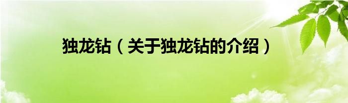 独龙钻（关于独龙钻的介绍）