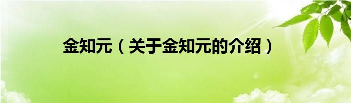金知元（关于金知元的介绍）