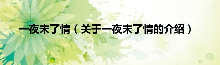 一夜未了情（关于一夜未了情的介绍）